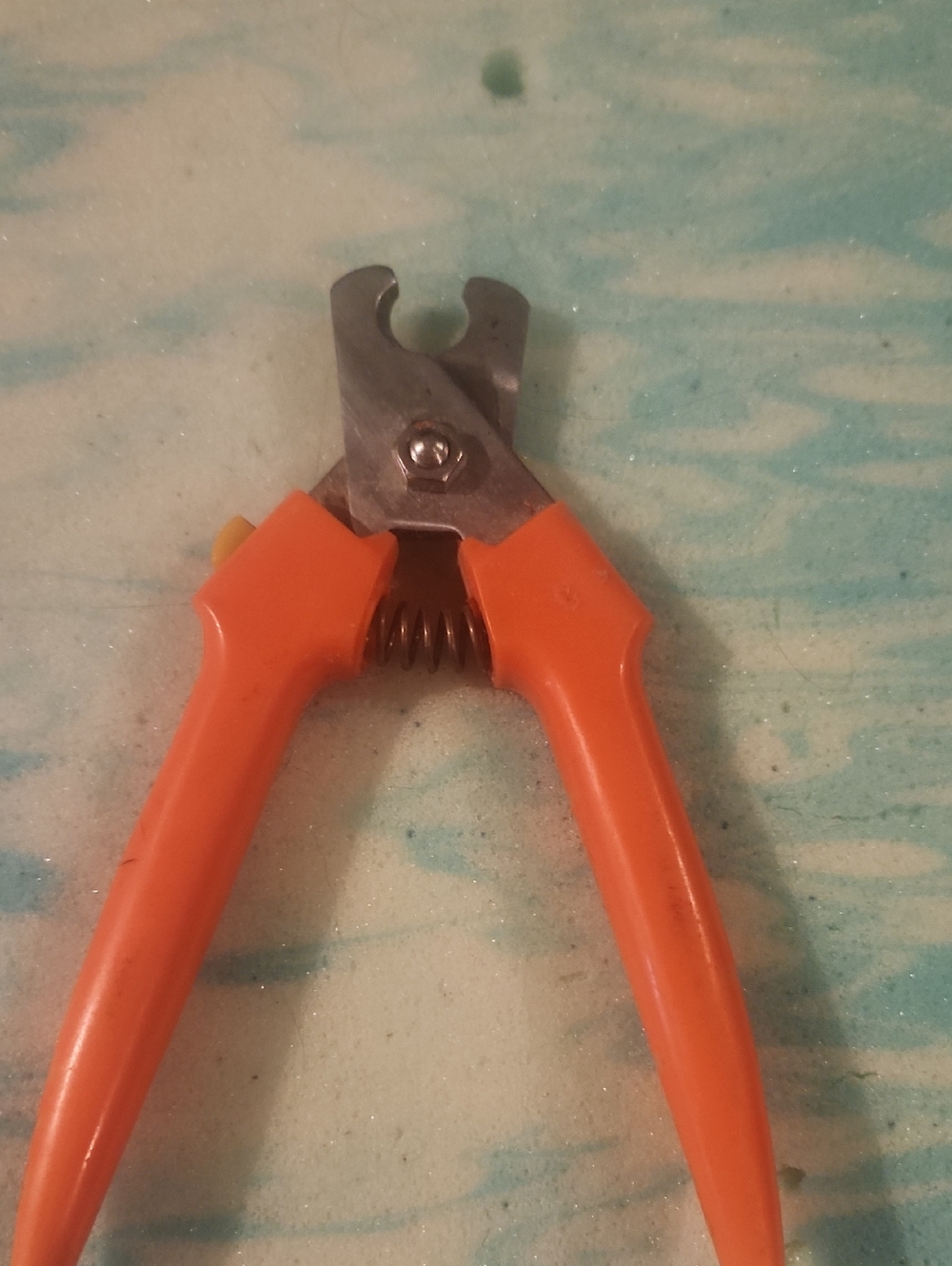 Orange Pet Nail Clippers
